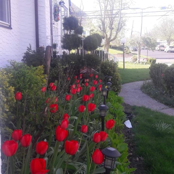 Meet your Posher, Dina - Picture 1 of 3